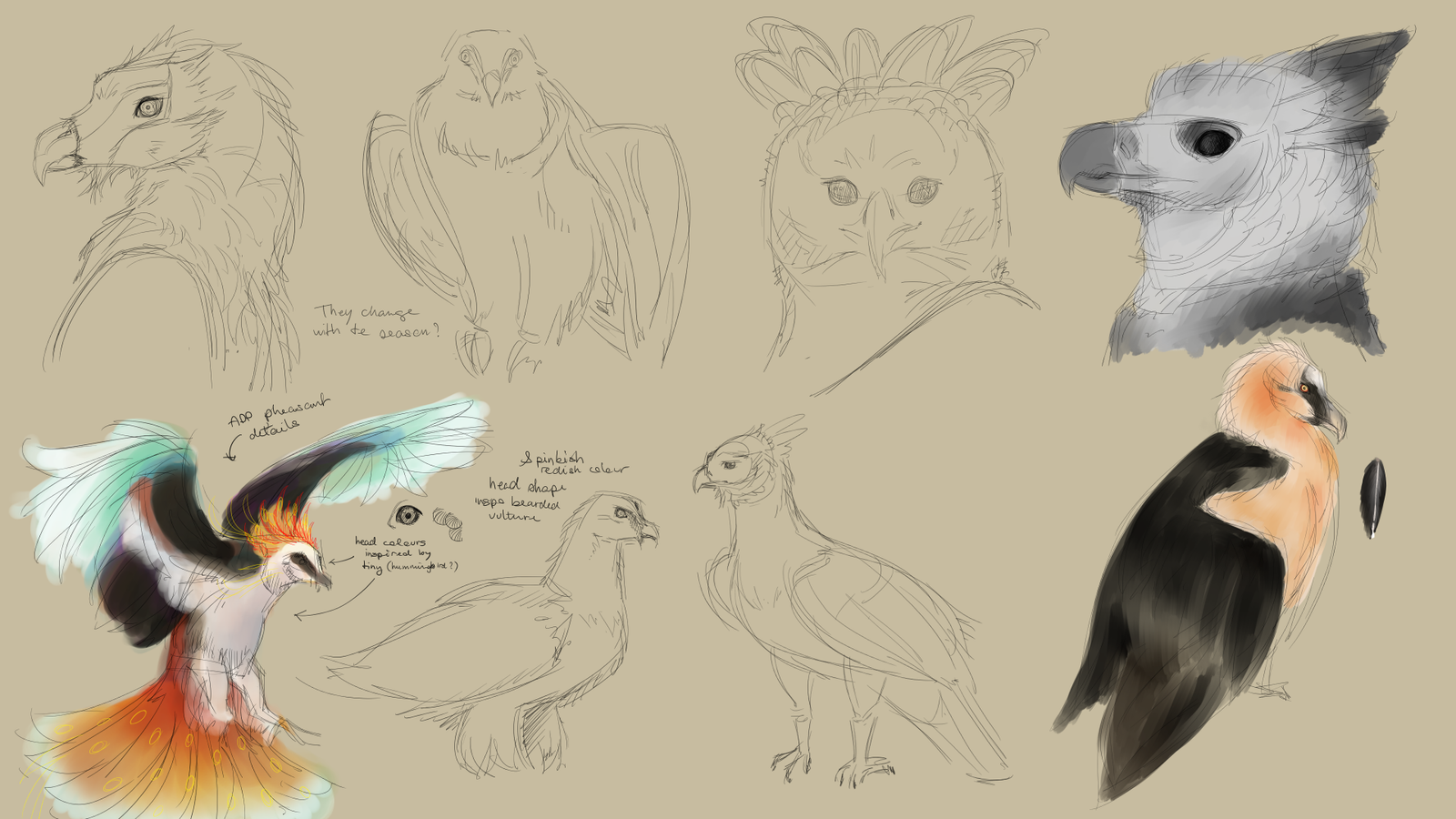 Sketches of predatory birds and a phoenix