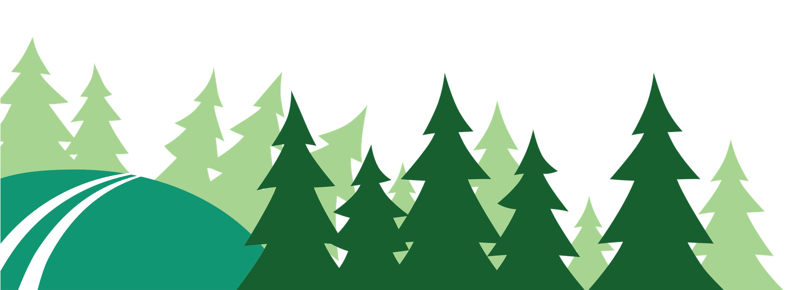 short green banner